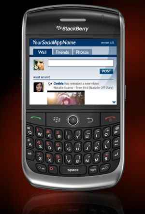 Widget BBJSocial ejecutado en una BlackBerry